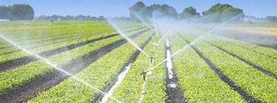 irrigation irrigation